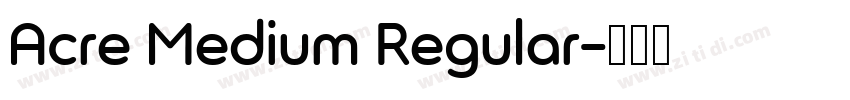 Acre Medium Regular字体转换